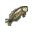 Grass Carp