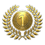 1st Place Medal